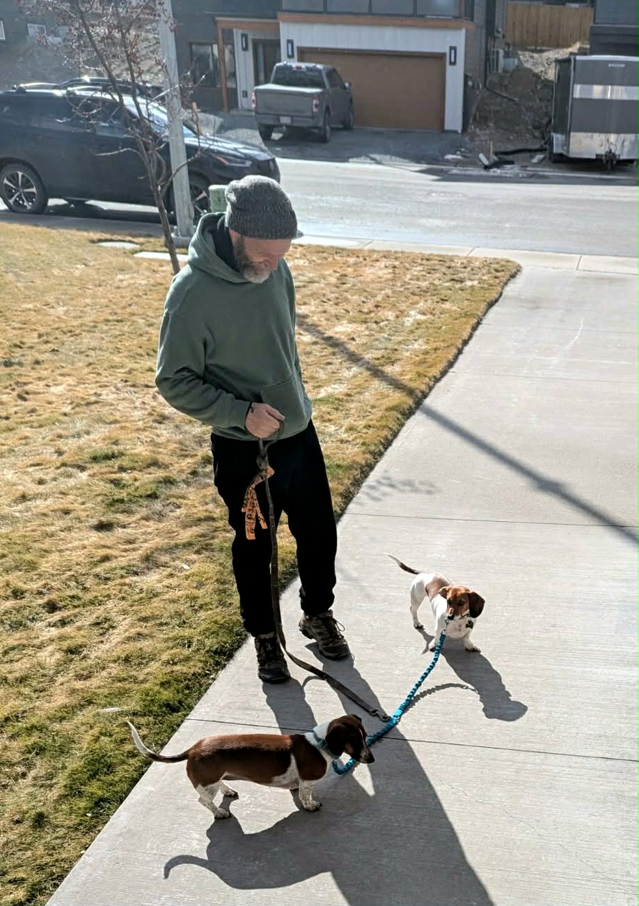 Pet sitting photo