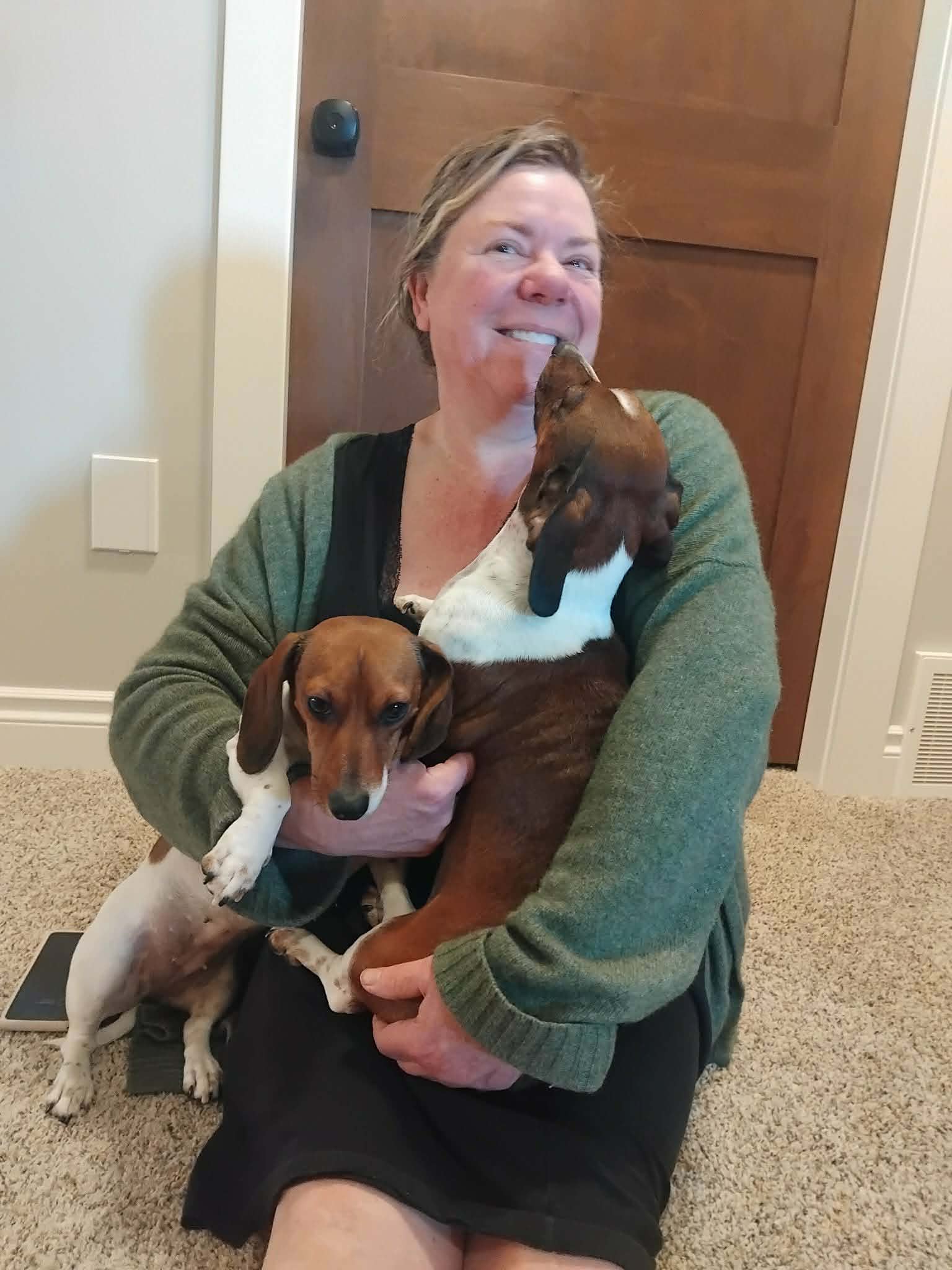 Pet sitting photo
