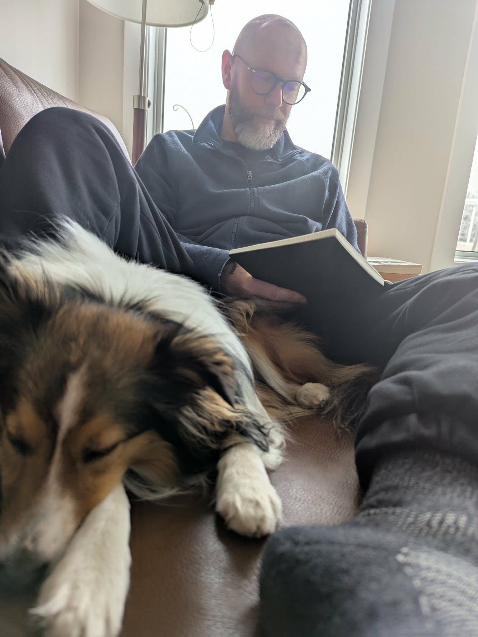 Pet sitting photo
