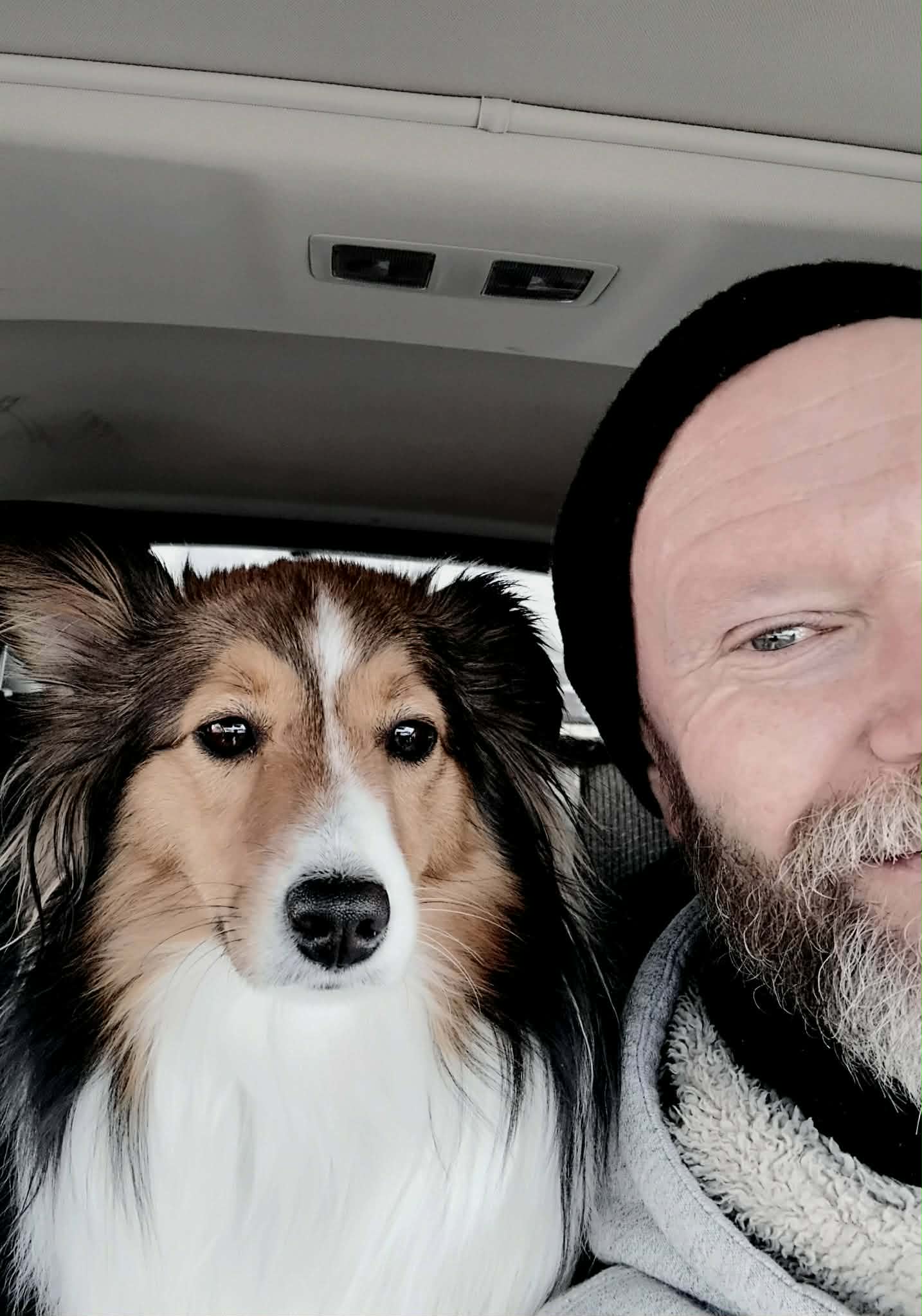Pet sitting photo