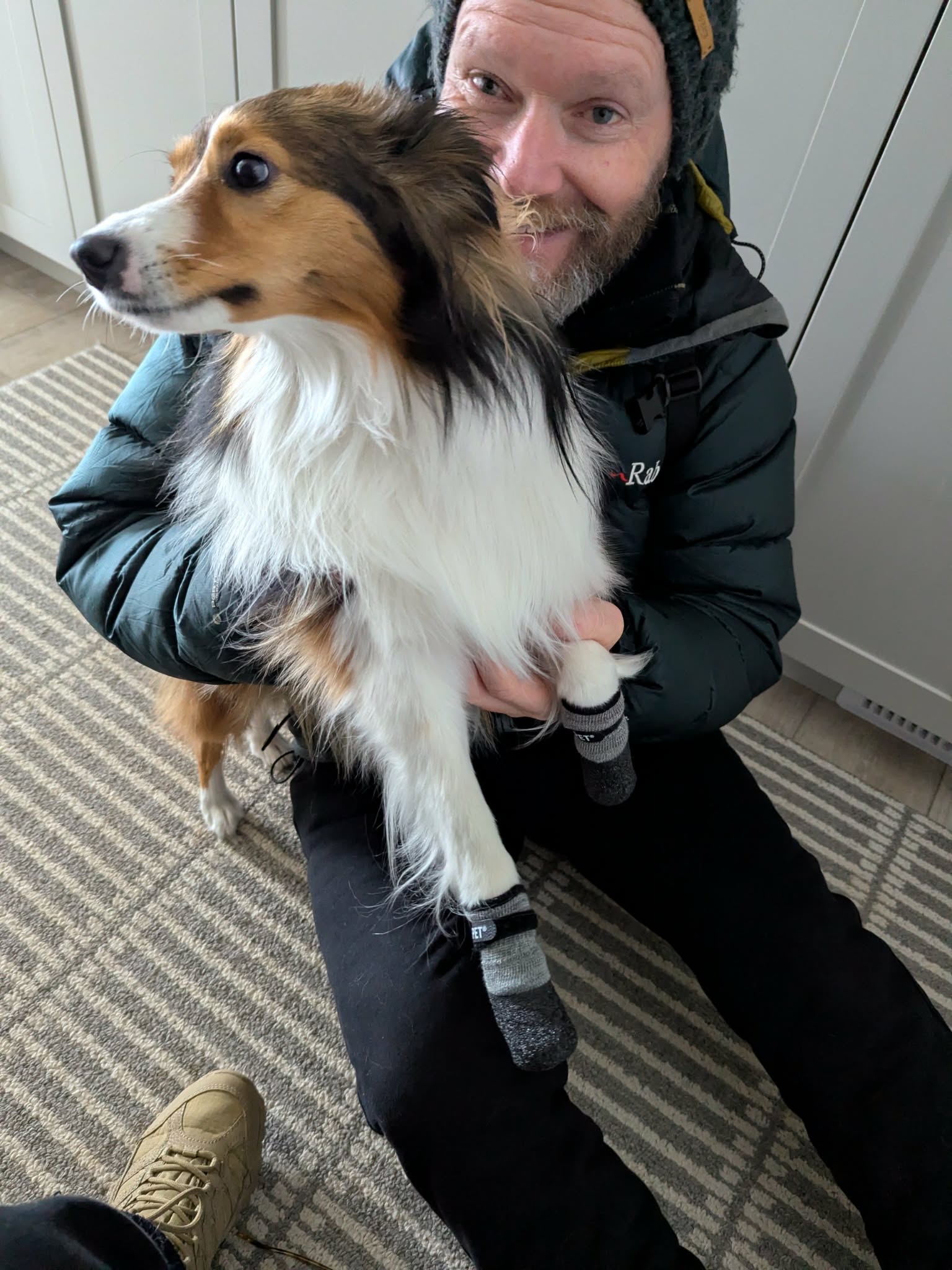 Pet sitting photo